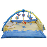 Baby Toy Activity Play Gym